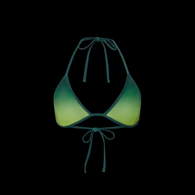 Gradient Bikini Top