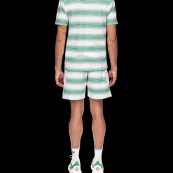 Gradient Stripe Polo Shirt