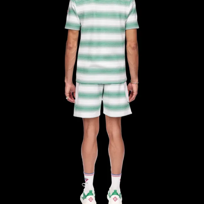 Gradient Stripe Polo Shirt