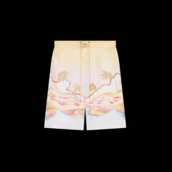 Psychedelic Nirvana Swim Shorts