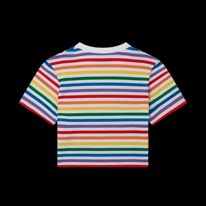 Rainbow Stripe Cropped T-Shirt